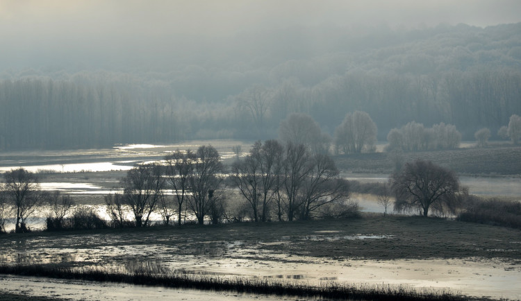 Tání sněhu zvedlo hladiny řek. Černovický potok vystoupal na druhý stupeň