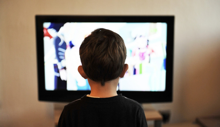 Sledovanost televizí byla loni nejvyšší za 24 let měření