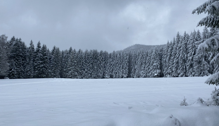 Největší zima byla ráno nejspíš na jihu Čech. Na Rokytské slati naměřili minus 30,2 stupně