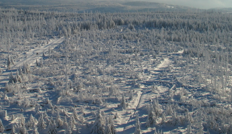 Na Šumavě zaznamenali nejnižší teplotu letošní zimy. Rtuť teploměru klesla pod -30 stupňů Celsia.