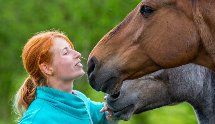 Domov pro bývalé dostihové šampiony bojuje o přežití. Na konci února se musí odstěhovat