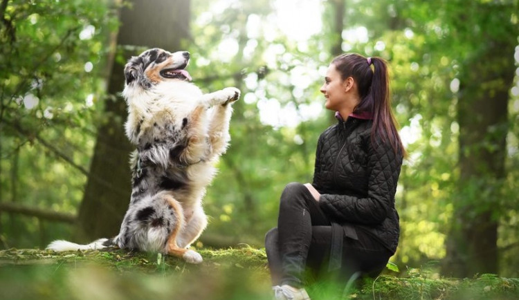 Každý pejsek jde vycvičit. Základem je pozitivní metoda, radost je pak společná, říkají trenérky Online psí školy