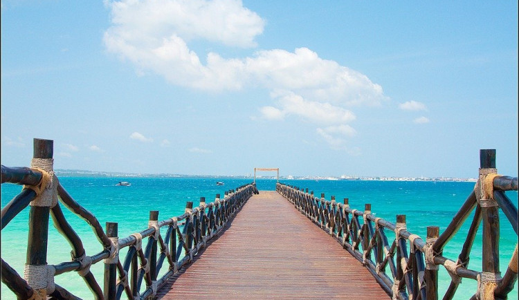 Kvůli mutacím koronaviru zakázala vláda cestování Čechů do Brazílie či JAR