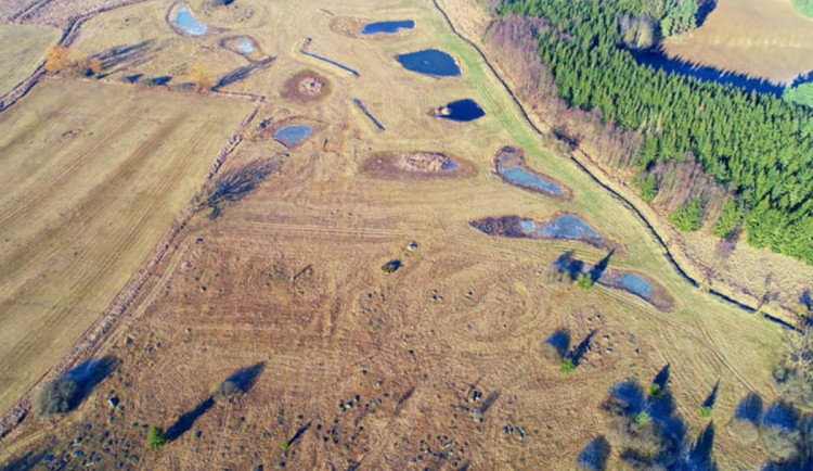 Kraj má novou přírodní památku. Klokočínské louky jsou plné vzácných zvířat