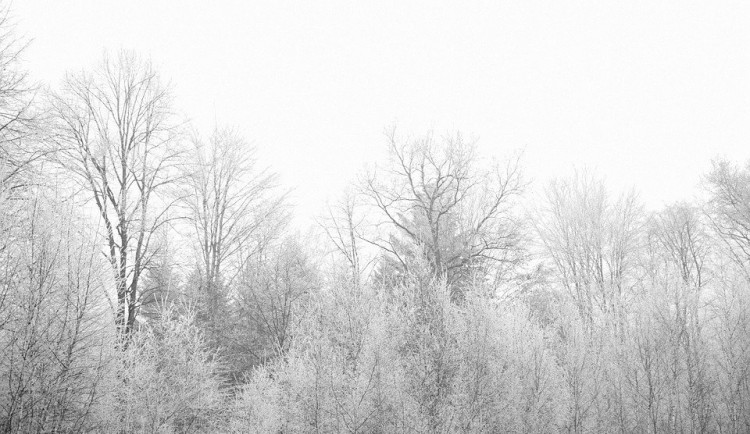 Po zbytek března ještě může v noci mrznout, objeví se i sníh