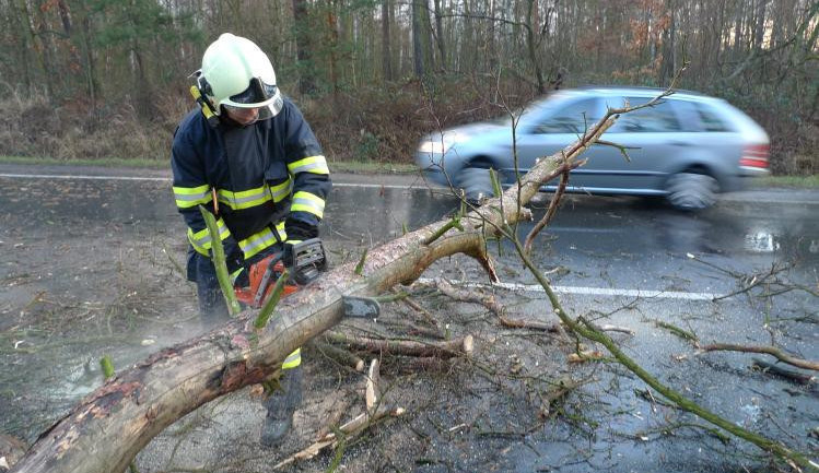 V sobotu bude v Česku foukat silný vítr. Výstraha meteorologů platí i pro jih Čech