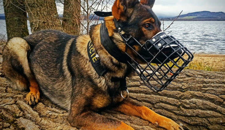 Sedmadvacetiletá žena se ubytovala v Zámecké jízdárně. Vyčmuchal ji policejní pes