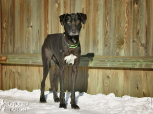 Radek Havlicek-VividFoto.cz