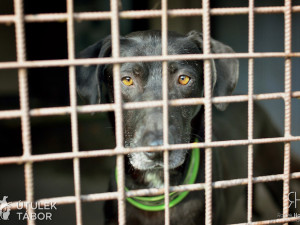 Radek Havlicek-VividFoto.cz