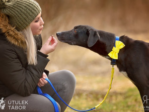 Radek Havlicek-VividFoto.cz