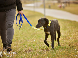 Radek Havlicek-VividFoto.cz