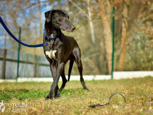 Radek Havlicek-VividFoto.cz