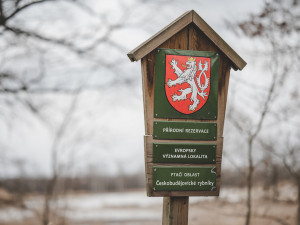 Vrbenské rybníky prošly generální opravou. Kraj vyšly práce na více než 100 milionů