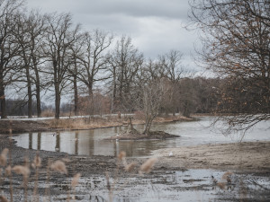 Vrbenské rybníky prošly generální opravou. Kraj vyšly práce na více než 100 milionů