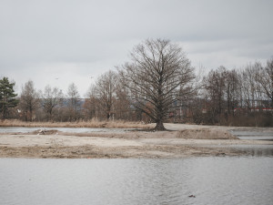 Vrbenské rybníky prošly generální opravou. Kraj vyšly práce na více než 100 milionů