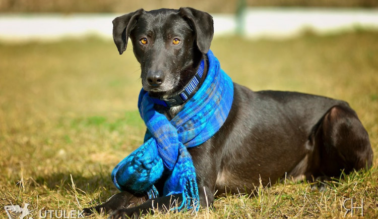 Radek Havlicek-VividFoto.cz