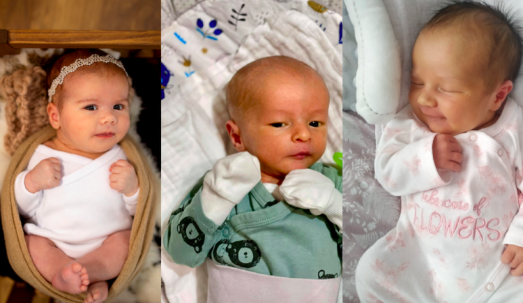 SOUTĚŽ: Hlasujte pro drbňátko února