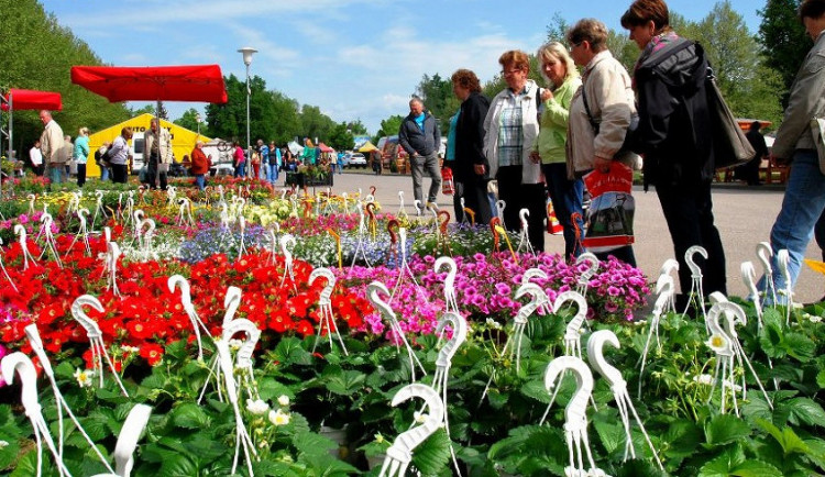 Záhrádkáři a kutilové se letos Hobby nedočkají. Agrosalon se zatím stále připravuje