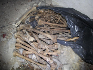 Další nález lidských ostatků na jihu Čech. Žena objevila tři pytle s kostmi dolních i horních končetin