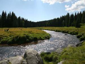 Před 30 lety vznikl NP Šumava, většinu území tvořil původně vojenský prostor
