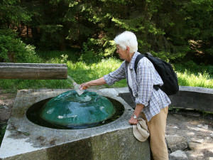 Před 30 lety vznikl NP Šumava, většinu území tvořil původně vojenský prostor