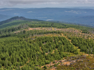 Před 30 lety vznikl NP Šumava, většinu území tvořil původně vojenský prostor