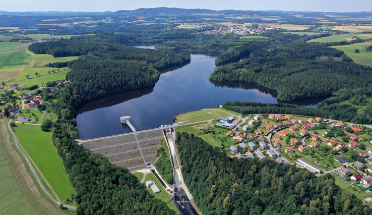 Podle vědců lze z rybích šupin vyčíst změny životního prostředí