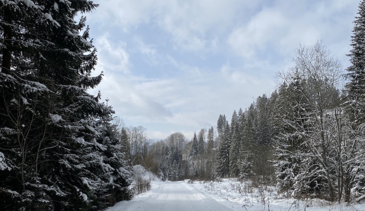 Na šumavských vrcholcích je nejvíc sněhu z celé zimy. Dlouho ale nevydrží, přijít má obleva