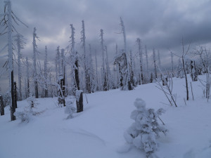 Na Plechém aktuálně leží nejvíce sněhu za letošní zimu
