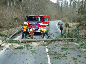 Čechy v sobotu zasáhne silný vítr. Hrozí pády stromů a škody na budovách