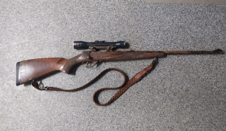 Kulovnice, kterou loni v listopadu sebral myslivci jelen, se našla v lese v Boleticích