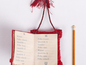 České Budějovice objektivem Milana Bindera a perem Martina Maršíka: Překvapení z Francie