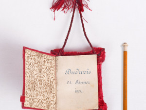 České Budějovice objektivem Milana Bindera a perem Martina Maršíka: Překvapení z Francie