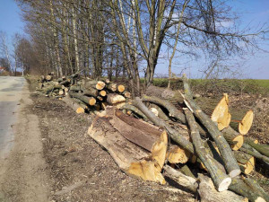 ŘSD začne opravovat obchvat Velešína. Práce na několik měsíců omezí dopravu