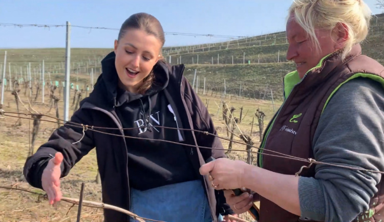 Co se skrývá za sklenkou aneb Když je víno plné slunce.