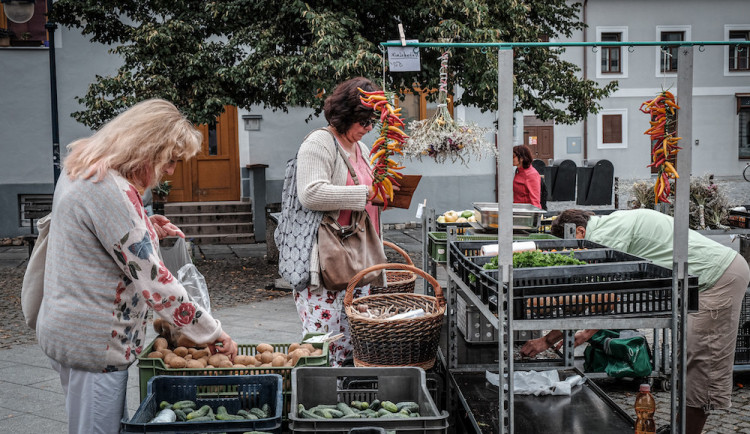 Pandemie ohrožuje drobné pěstitele zeleniny, přišli o restaurace