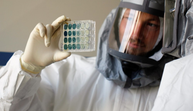 Čeští vědci pomohli při přípravě protilátek na klíšťovou encefalitidu