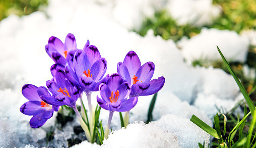 Poslední týden mrazu a sněhu. V dalších týdnech půjdou stupně pozvolna nahoru