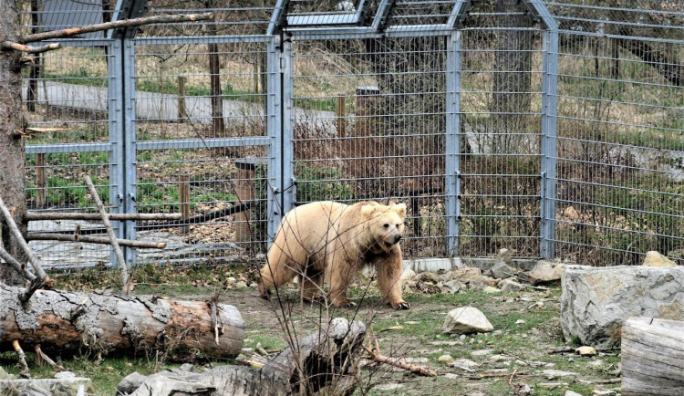 Jihočeská zoologická zahrada v Hluboké nad Vltavou má opět otevřeno