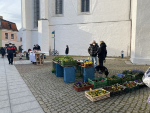 Na Piaristické náměstí se vrátily farmářské trhy