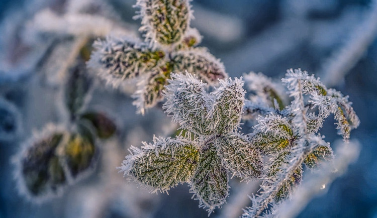 V noci může v Česku mrznout. Meteorologové vydali výstrahu