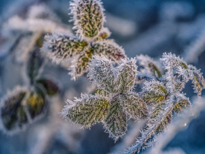 V noci může v Česku mrznout. Meteorologové vydali výstrahu