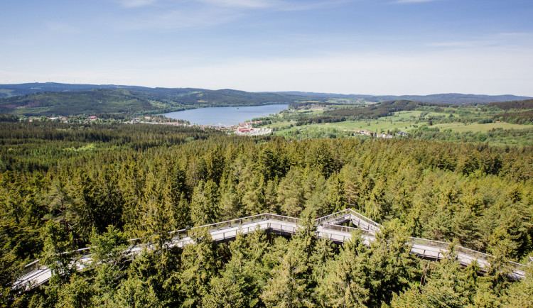 Ke Stezce korunami stromů už můžete vyrazit lanovkou. Od května je otevřeno i Království lesa