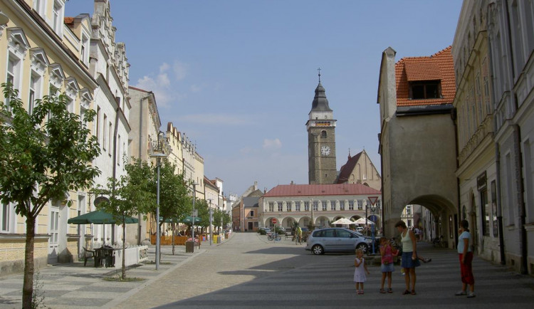 Kvůli kácení stromů ve Slavonicích bude na podzim referendum
