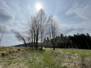 Tip na víkend: Vydejte se do Horní Plané na vyhlídku a naučnou stezku