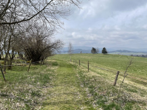 Tip na víkend: Vydejte se do Horní Plané na vyhlídku a naučnou stezku