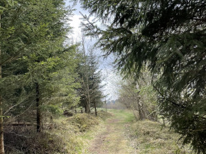 Tip na víkend: Vydejte se do Horní Plané na vyhlídku a naučnou stezku