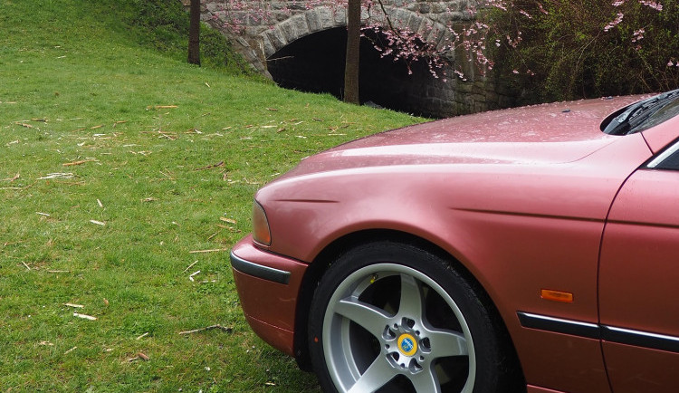 Sakury na jabloneckém autobusáku jsou ozdobou města. Přesto je lidé ničí