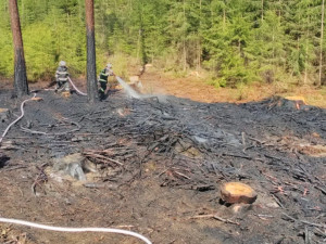 Hezké počasí láká k úklidu zahrad a lesů. Hasiče zaměstnaly během jednoho dne tři požáry po pálení