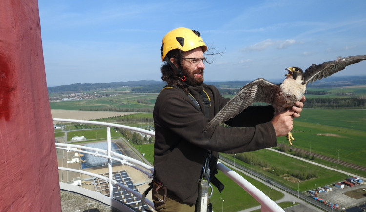 ! Nepojmenováno - 10:18:25 12.5.2021